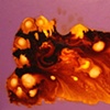 Volcano