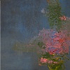 Lilies at a Distance