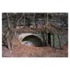 mongo mine