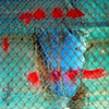 red + blue 