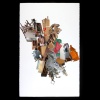 accumulation