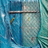 blue shield