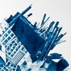 garbage cyanotypes
