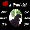 Catlovers