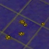 Infestation