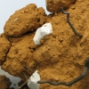 Free Dirt (detail)