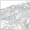 fig.1