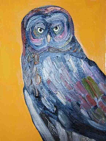 Great Gray Owl in Orange