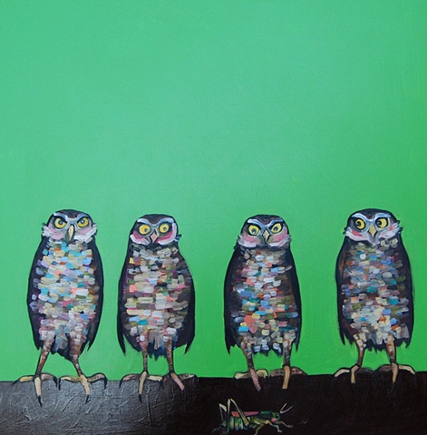 Burrowing Owls and Grasshopper