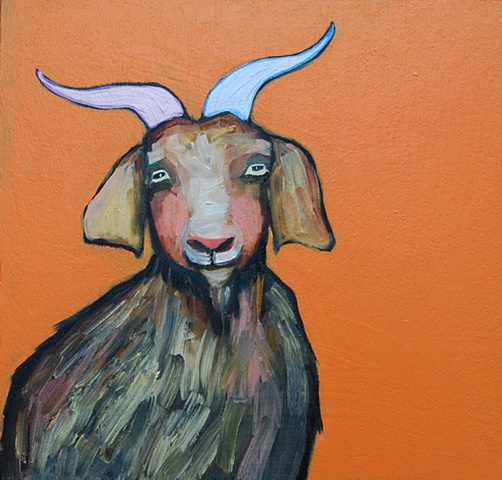 Goat in Orange