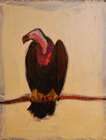 Vulture in Iridescent Blue Violet