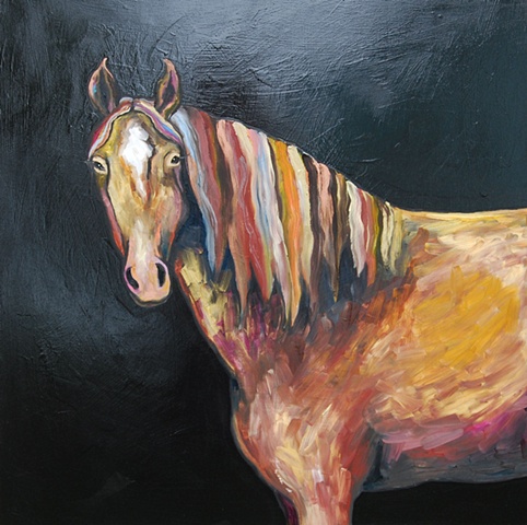 Horse in Glossy Black