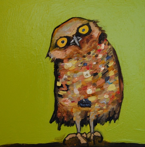 Burrowing Owl in Citrus