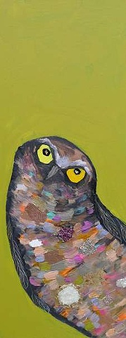 Tiny Burrowing owl in Citrus