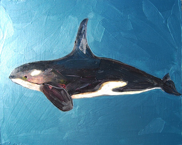 Tiny Killer Whale in Metallic Sea Blue