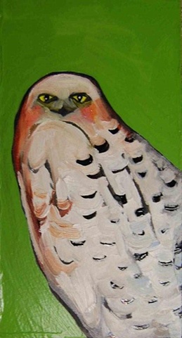 Snowy Owl in Green
