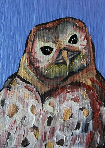 Tiny Spotted Owl in Periwinkle