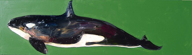 Killer Whale in Green