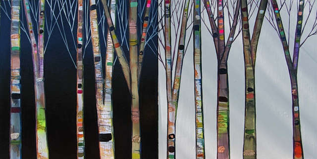 Birch Trees in Black and White
