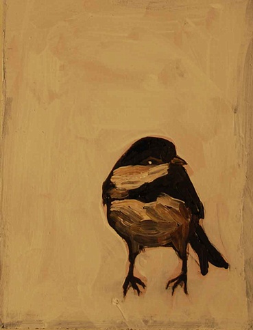 Chikadee in White Cloud
