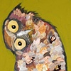 Tiny Burrowing Owl in Earth Green