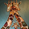 Giraffe Family in Metallic Sea Blue