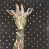 giraffe in black and polka dots