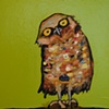 Burrowing Owl in Citrus