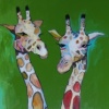Giraffe Family in Green