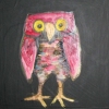 owl in black