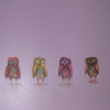 owls