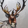 Caribou in Metallic Pearl White