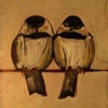 Chickadees in Iridescent Sunset Pink
