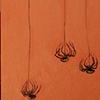 Writing Spiders