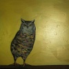 Owl in Gold