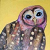 Spotted Owl in Yellow
