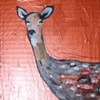 Spotted Deer in Copper