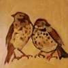 Song Sparrows in Iridescent Blue Violet