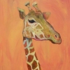 giraffe in apricot