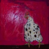 rooster in fuschia