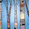 Birch Trees in Metallic Aqua Marine
