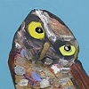 Tiny Burrowing Owl in French Blue