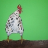 Rooster in Green