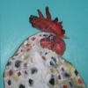 rooster portrait