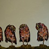 5 Burrowing Owls in Metallic Green Opal