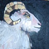 Tiny Dall Sheep in Starry Night Sky
