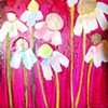 Tiny Chamomile Patch in Fuschia