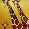 Giraffes in Gold