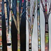 Birch Trees in Black and White