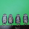 Burrowing Owls and Grasshopper